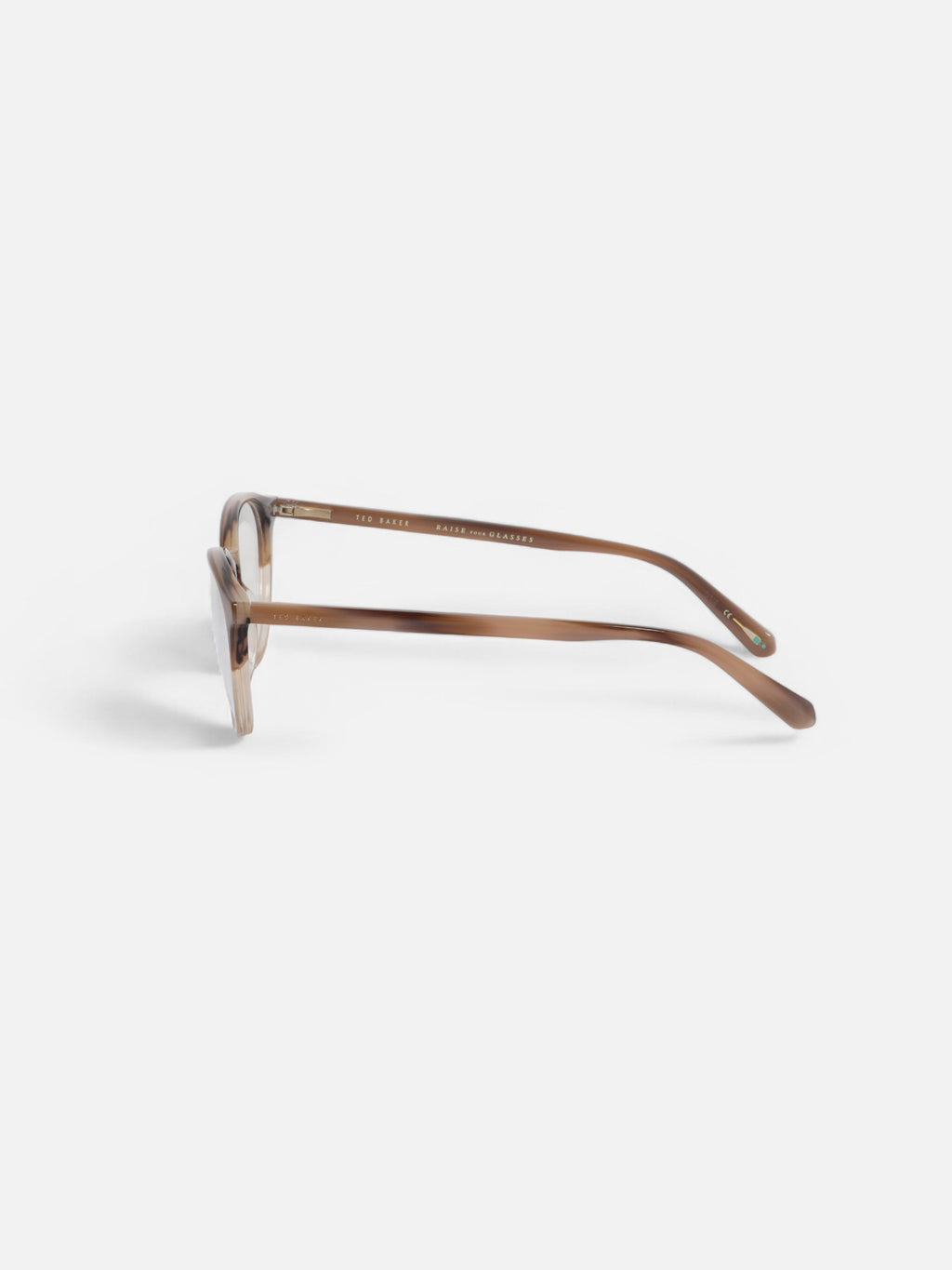 Kornize Optike - Ted Baker, 8239 - Ted Baker,