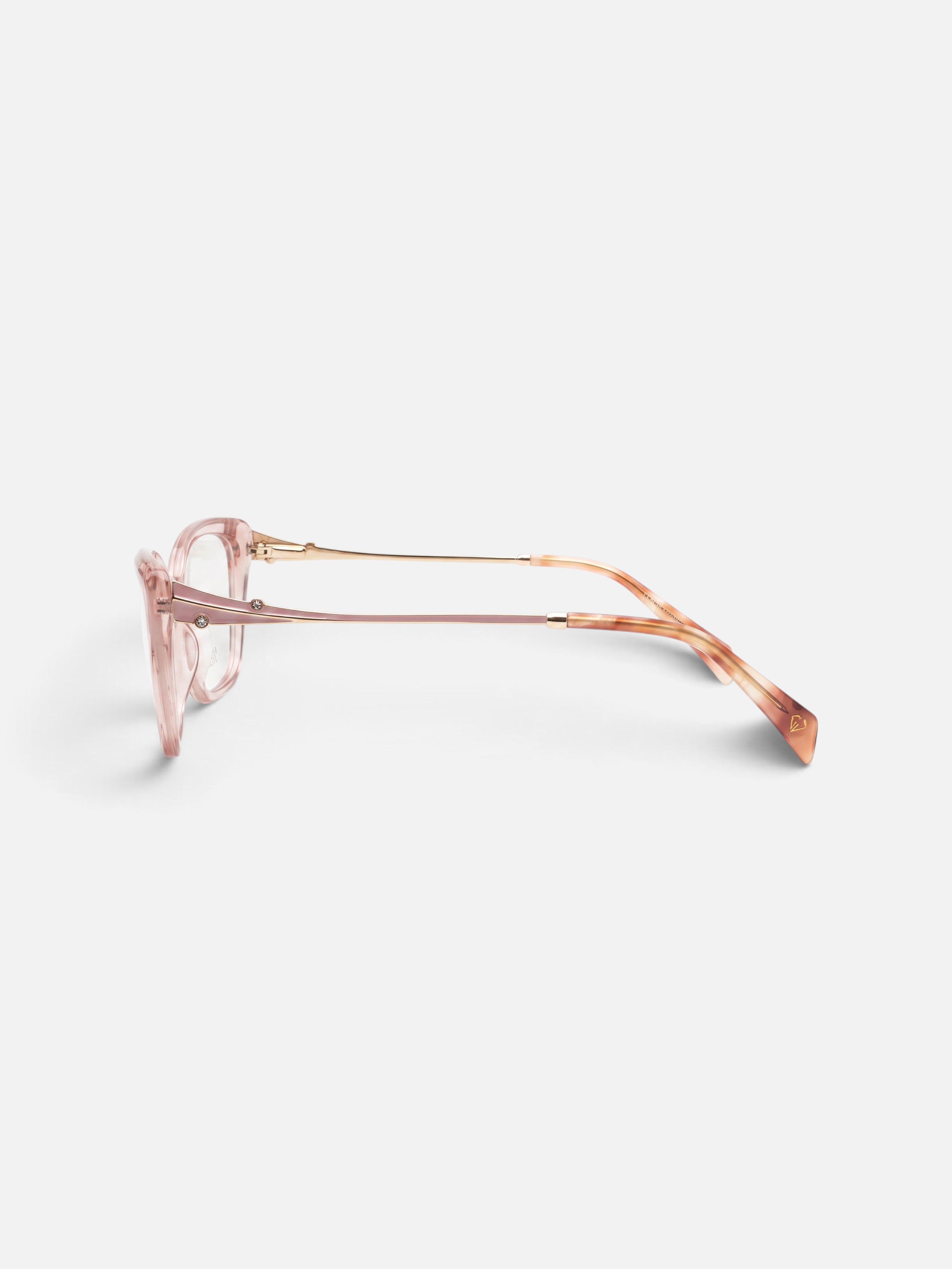 Kornize Optike - Gjiovani